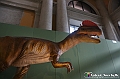 VBS_0939 - Dinosauri. Terra dei giganti